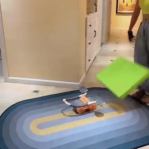 Ab Roller
